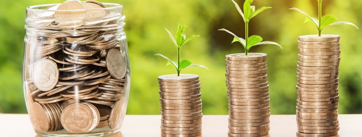 Photo of piles of coins with green shoots on top