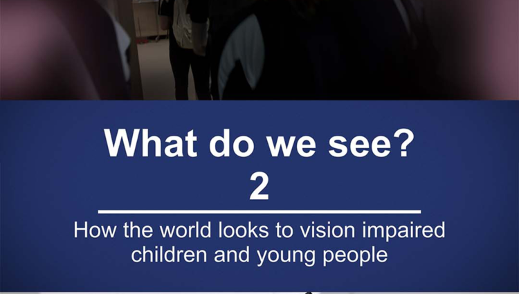 Image shows blue background in white text it reads 'What do we see 2? How the wold looks to vision impaired children and young people