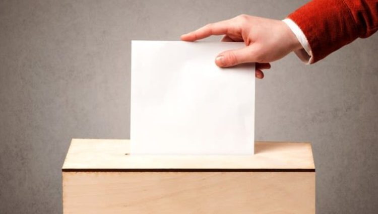 Photo of person posting vote paper.