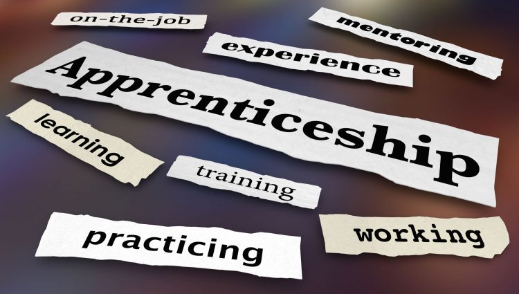 A picture that shows notes with different words. These words are: Apprenticeship, experience, working, training, practicing, learning, on-the job, mentoring