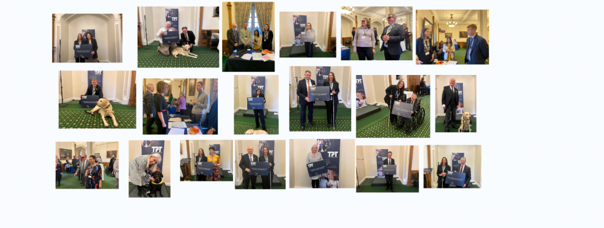 Image shows a collage photos of MPs at the House of Commons, with TPT staff and volunteers.