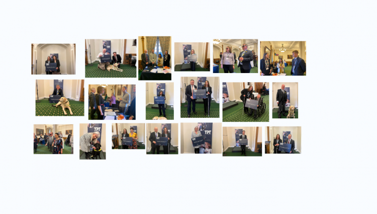 Image shows a collage photos of MPs at the House of Commons, with TPT staff and volunteers.