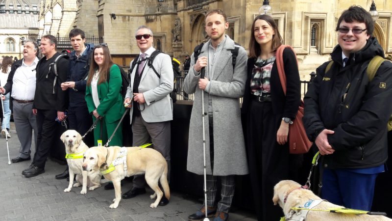 Eight Thomas Pocklington Trust staff and volunteers with three of their guide dogs stood outside Parliament.