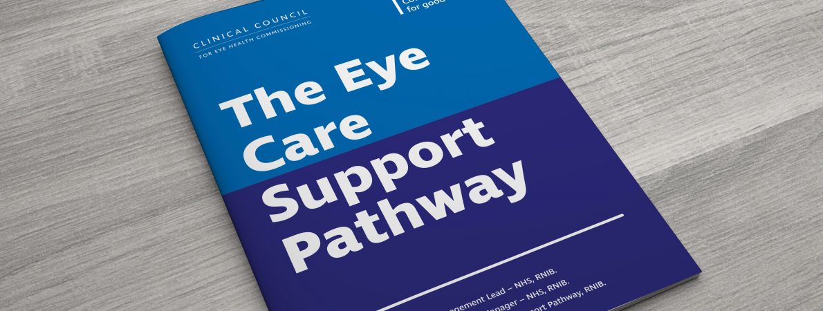 A top angle photo of a blue booklet with the test 'The Eye Care Support Pathway' on a grey background. Photo provided by RNIB.